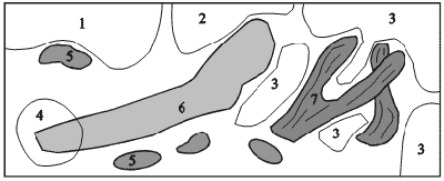 Планировка аквариума